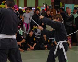 Travail aux sai